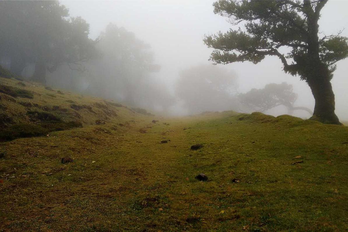 Natus sed quia aut odit voluptas