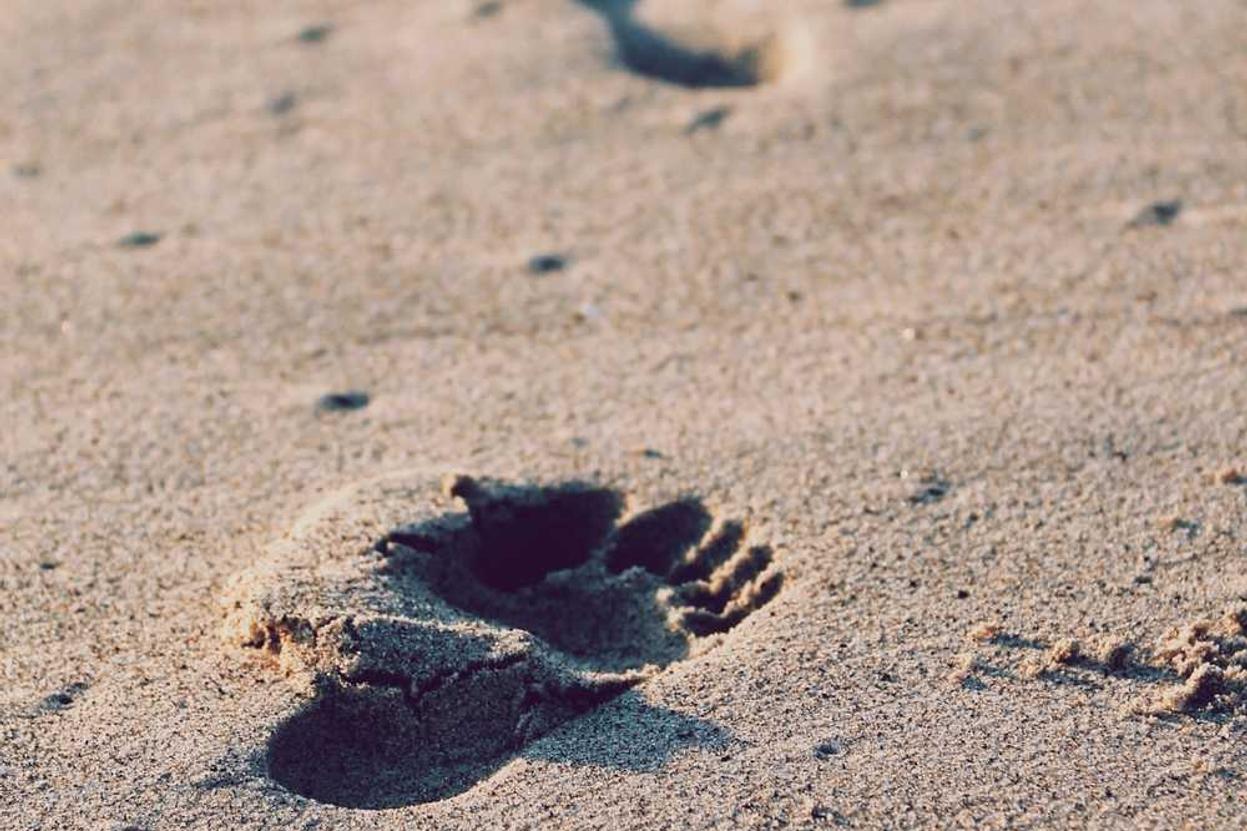 Repellendus eius et optio quia velit itaque vero quibusdam corporis