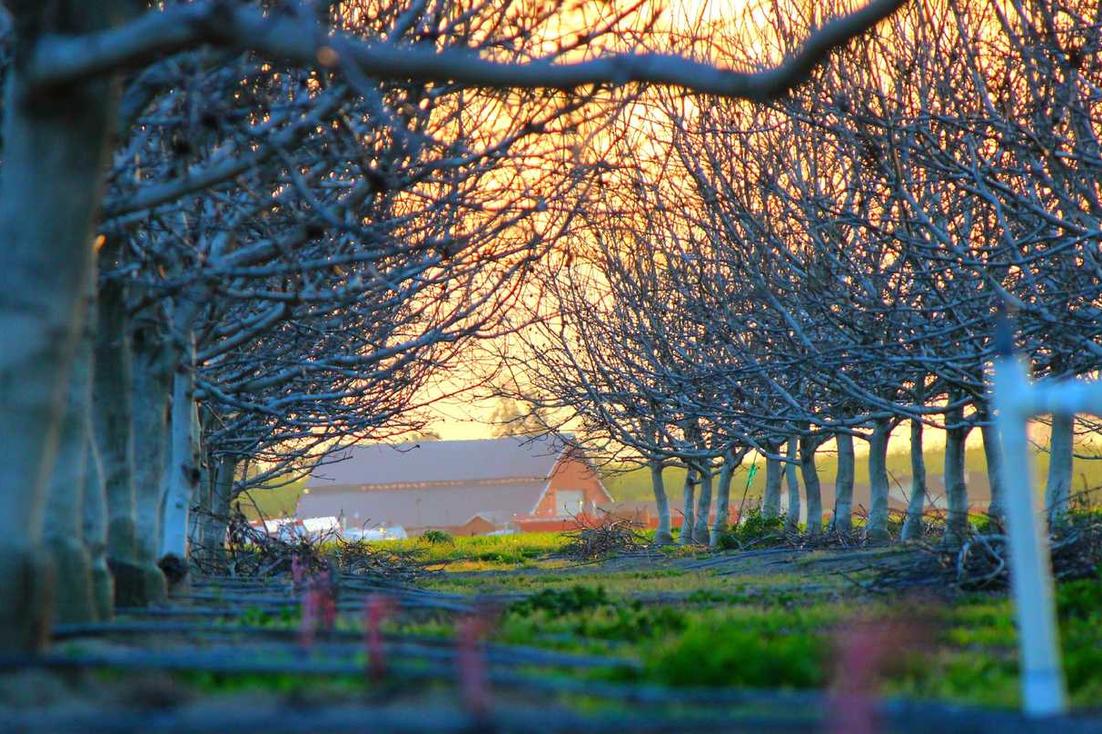 Asperiores repudiandae tempora dolorum doloremque voluptatem rerum ut consequuntur exercitationem itaque